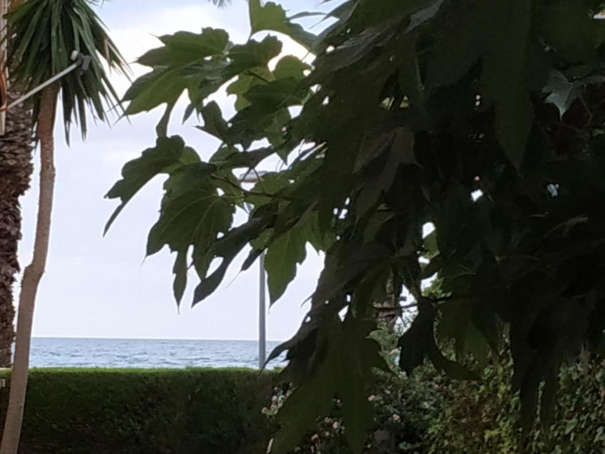 Apartament Del Mar Miami Playa Extérieur photo